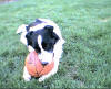 Shadow with ball